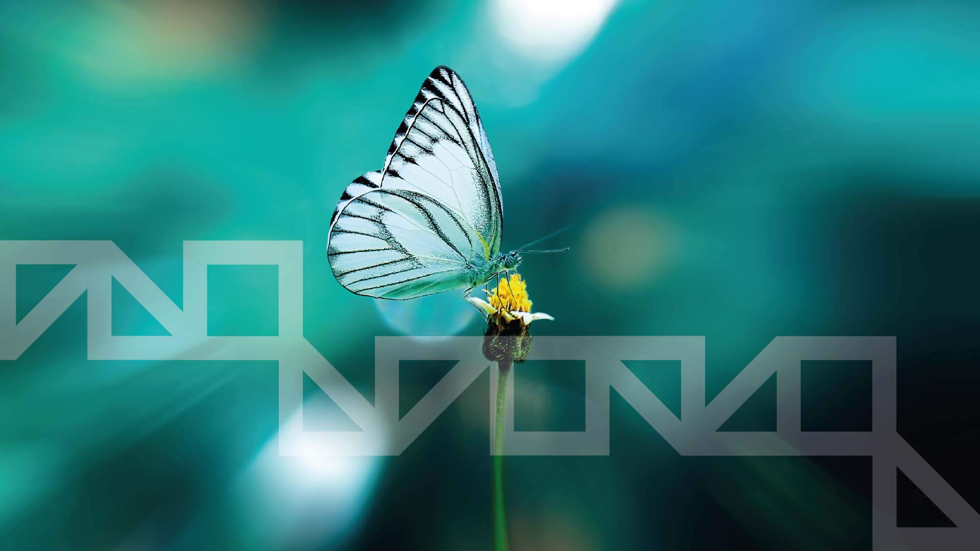 <p><strong>Perché il nostro business è sostenibile?</strong></p>
