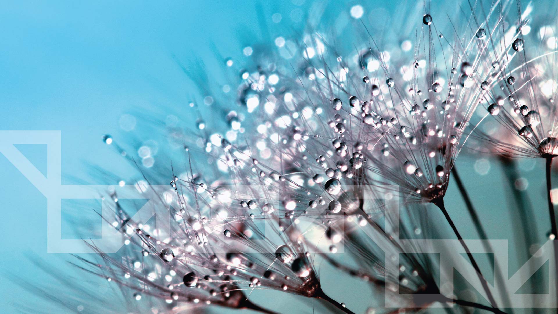 <h2 style="text-align: center;"><strong>L’attività di Itelyum supporta<br />
la decarbonizzazione delle filiere in cui opera</strong></h2>
<p>&nbsp;</p>
